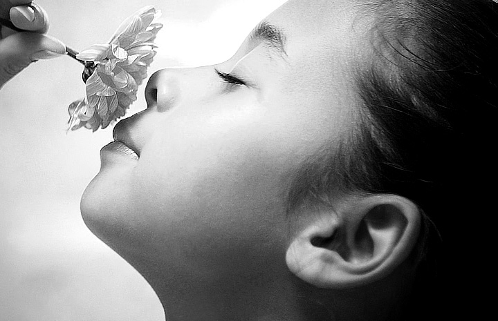 极速下载稳定的doss网站攻击